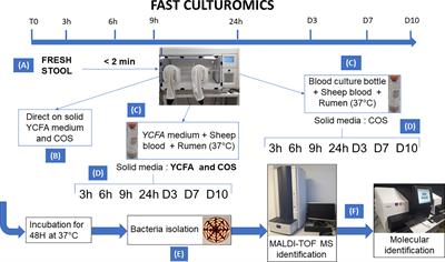 Proof of Concept of Culturomics Use of Time of Care